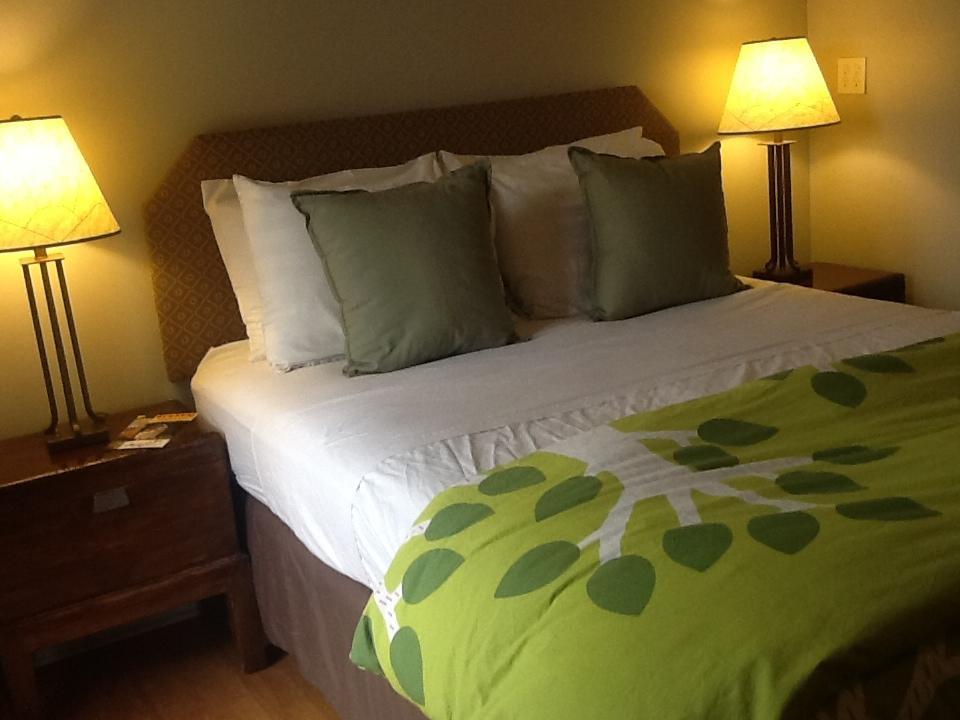 Zenyard Guest House Phoenix Kamer foto